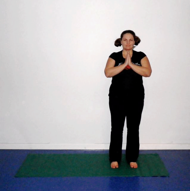 yoga  zodiac moonsalutation.gif poses
